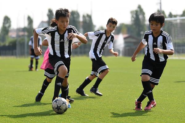 Trường đào tạo bóng đá Trường đào tạo bóng đá